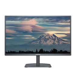 Moniteur 18,5" LED HD 60Hz - Réponse 1ms