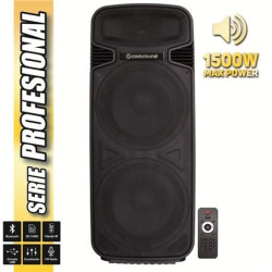 Enceinte Bluetooth amplifiée Coolsound Pro 500 1500W 2x15" 450W RMS