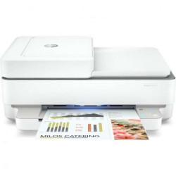 Imprimante multifonction couleur Wi-Fi HP Envy 6420e