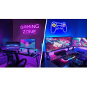 Jeux / Consoles / Mobilier Gaming